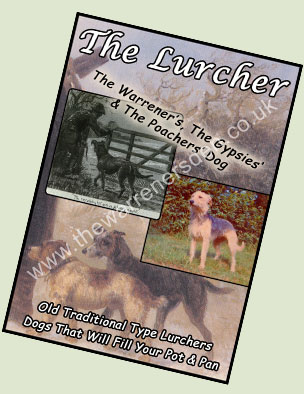 The Lurcher